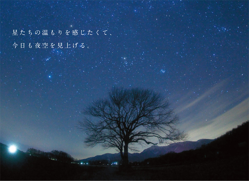 美しさ、極まれり。武井 伸吾の星景写真。